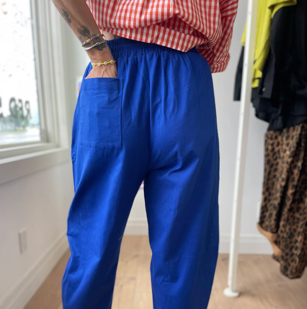 Red Sky Carrot Pants - Blue