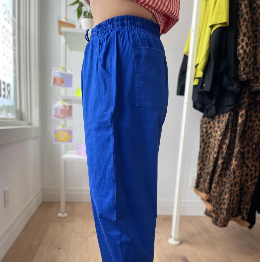 Red Sky Carrot Pants - Blue